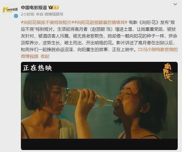 央视点名宣传,现在的赵丽颖,完全证实宁静当年说的话(组图) - 12