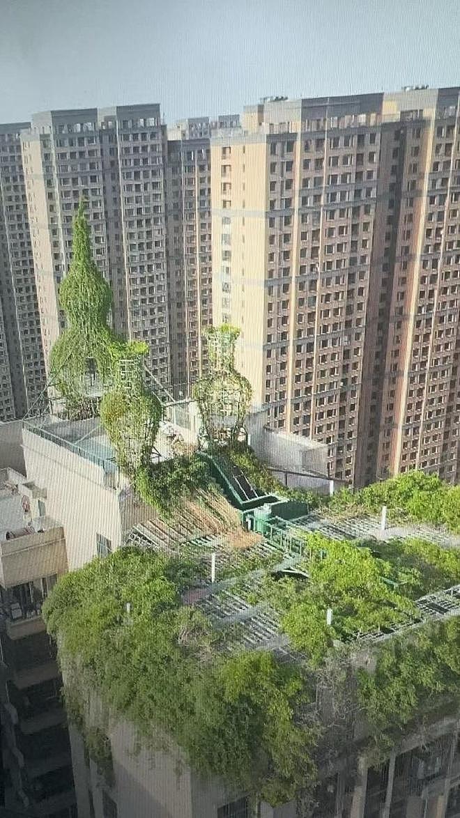 小区楼顶重现“空中花园”？当事业主曾花百万元违法加盖被查（组图） - 3