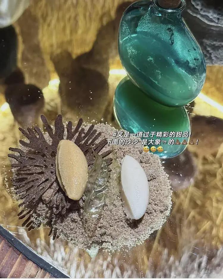 这不是玩笑?上海这家餐厅,请你啃树叶、吃大象粑粑,人均餐费居然要这个数(组图) - 8