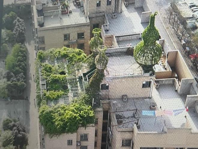 小区楼顶重现“空中花园”？当事业主曾花百万元违法加盖被查（组图） - 2