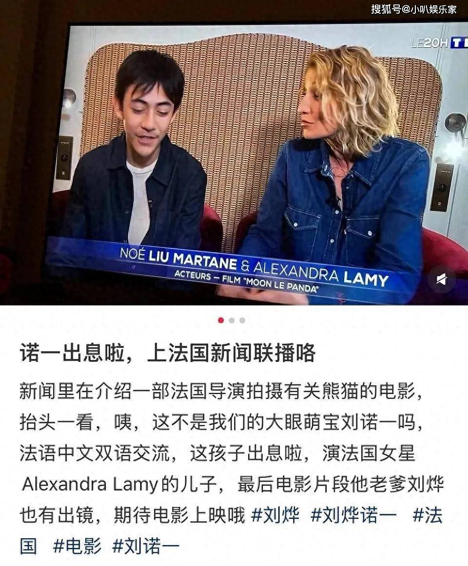 刘烨儿子上法国新闻联播，14岁诺一长相大变不敢认（组图） - 1