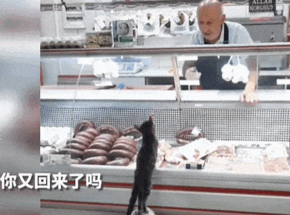【宠物】烤肉店老板喂的小猫去世后，过了3年竟然转世回来了？猫：你好，我要3年前选的那块肉（组图） - 20