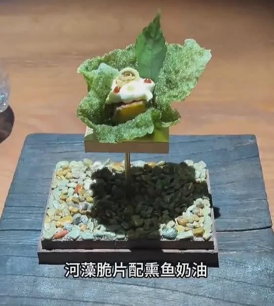 女子在上海吃8000块云南菜：大象粪便、尸体降解味、蚂蚁！后悔了（组图） - 13