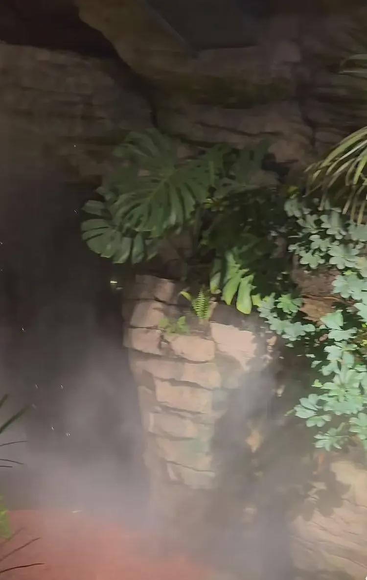 这不是玩笑?上海这家餐厅,请你啃树叶、吃大象粑粑,人均餐费居然要这个数...(组图) - 1