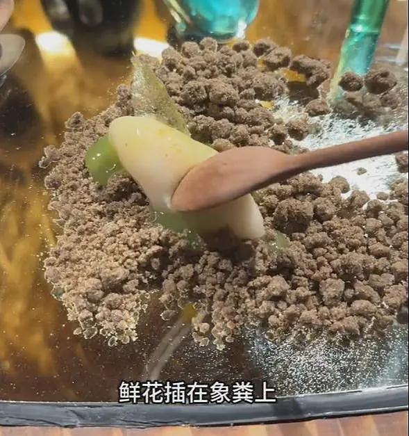 女子在上海吃8000块云南菜：大象粪便、尸体降解味、蚂蚁！后悔了（组图） - 26