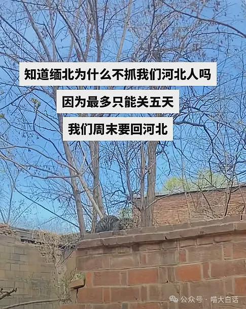 【爆笑】“老公的女闺蜜半夜给他发小作文？”哈哈哈哈哈后续给人看爽了（组图） - 12
