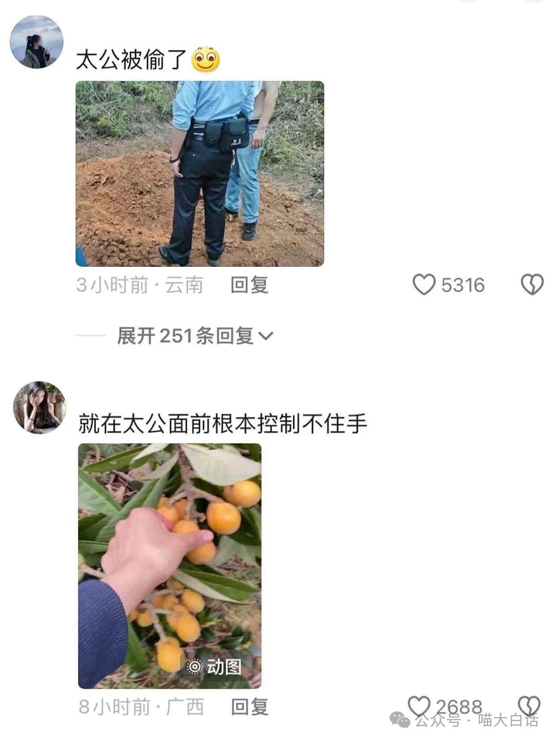 【爆笑】“老公的女闺蜜半夜给他发小作文?”哈哈哈哈哈后续给人看爽了(组图) - 95