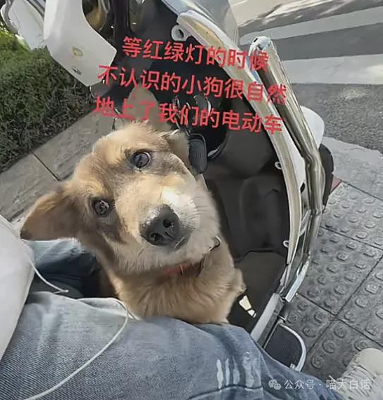 【爆笑】“老公的女闺蜜半夜给他发小作文？”哈哈哈哈哈后续给人看爽了（组图） - 40