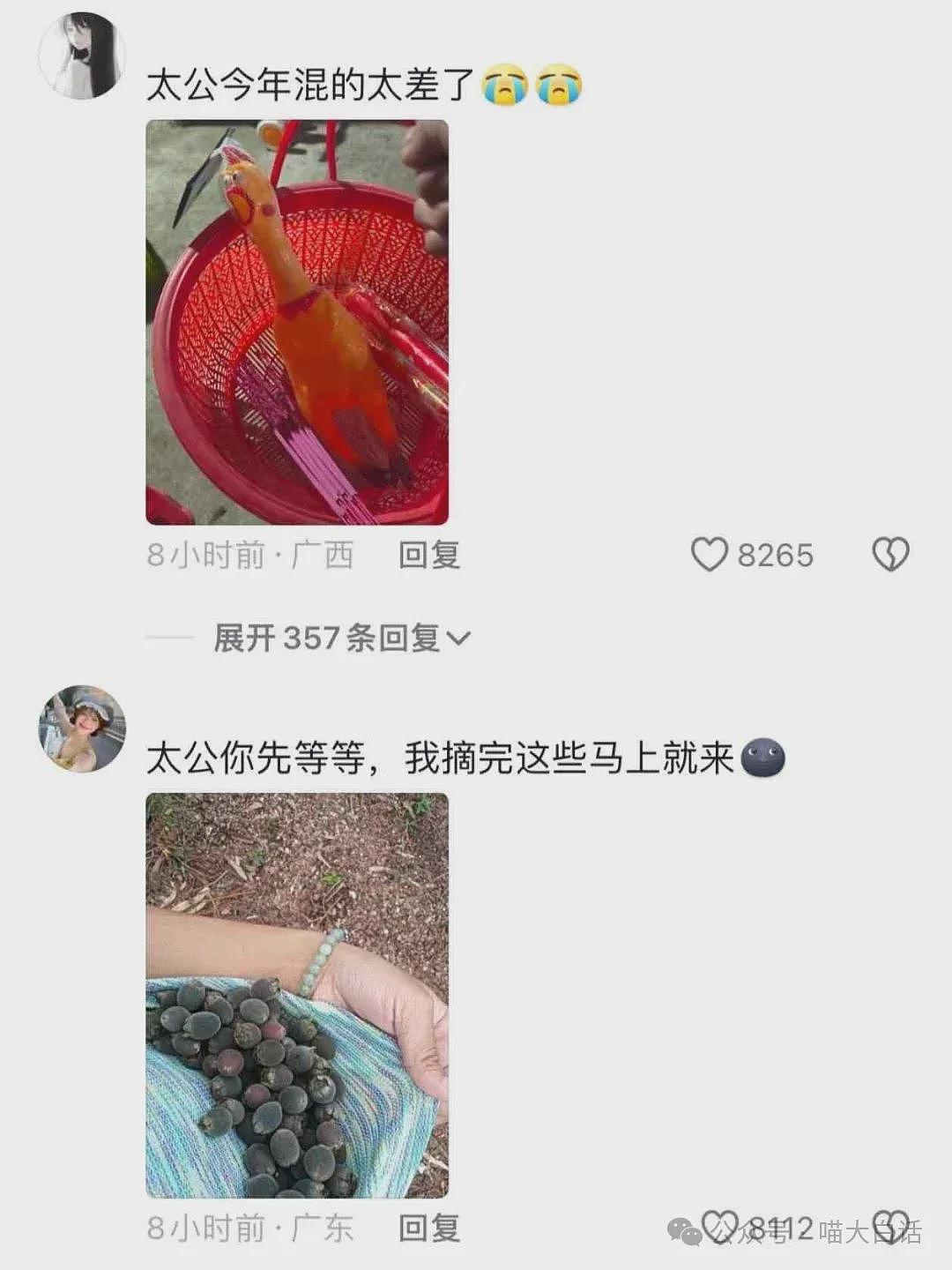 【爆笑】“老公的女闺蜜半夜给他发小作文？”哈哈哈哈哈后续给人看爽了（组图） - 94