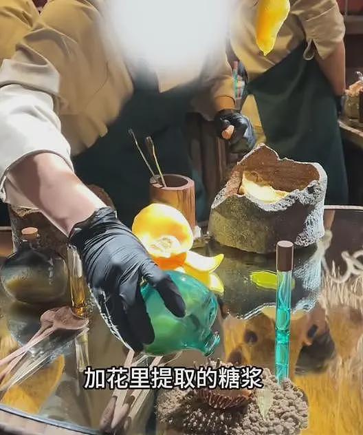 女子在上海吃8000块云南菜：大象粪便、尸体降解味、蚂蚁！后悔了（组图） - 25