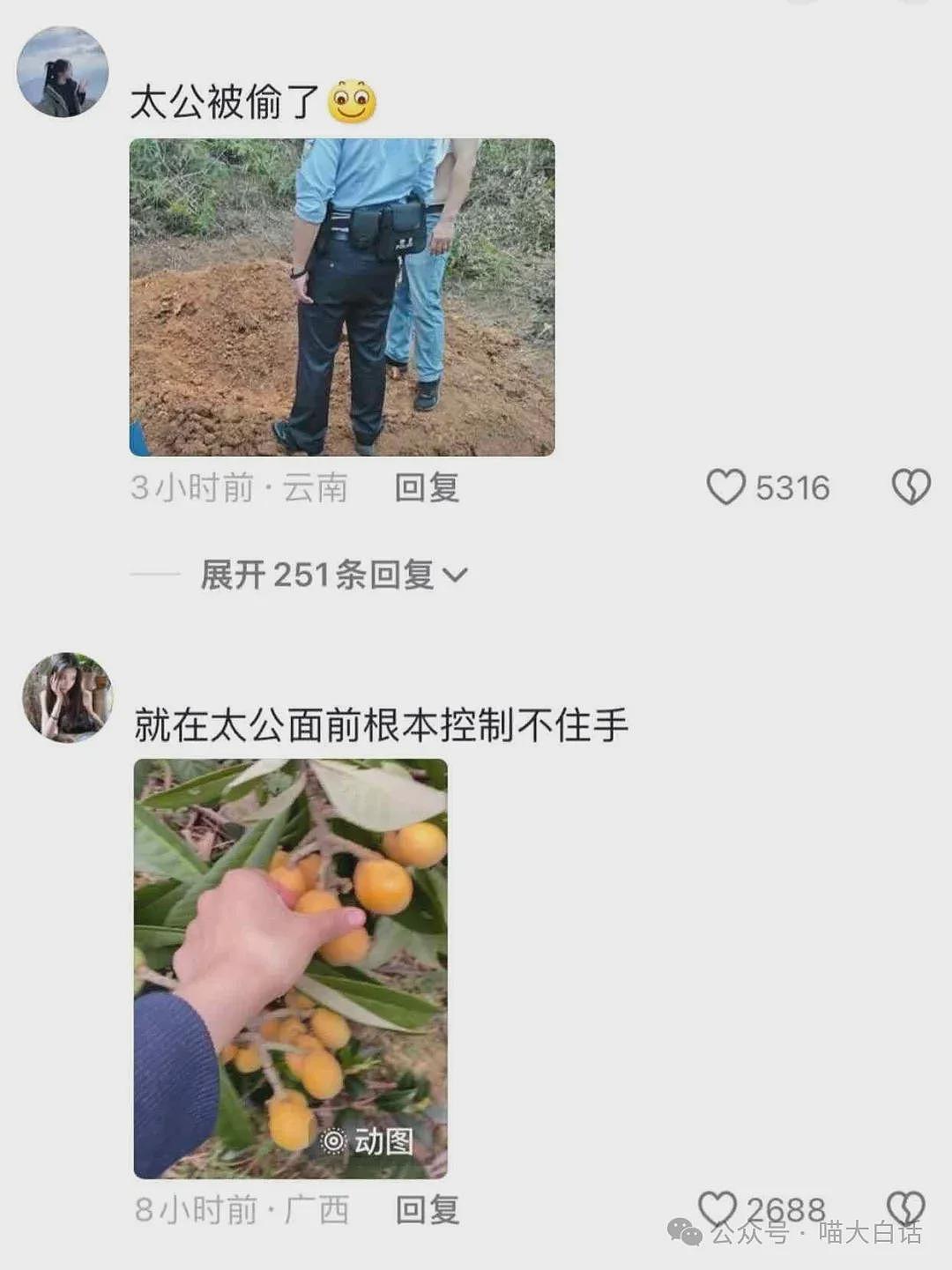 【爆笑】“老公的女闺蜜半夜给他发小作文？”哈哈哈哈哈后续给人看爽了（组图） - 95