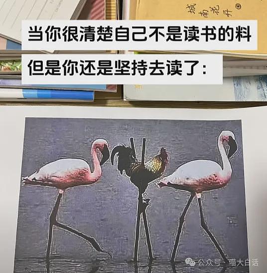 【爆笑】“老公的女闺蜜半夜给他发小作文？”哈哈哈哈哈后续给人看爽了（组图） - 10