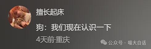 【爆笑】“老公的女闺蜜半夜给他发小作文？”哈哈哈哈哈后续给人看爽了（组图） - 42