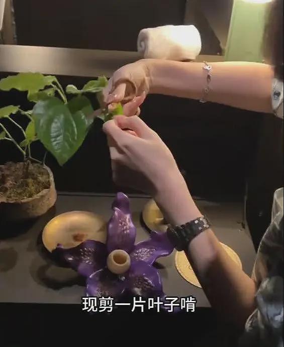 女子在上海吃8000块云南菜：大象粪便、尸体降解味、蚂蚁！后悔了（组图） - 5
