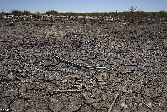 盲眼神婆巴巴万加的2025预言竟然正在兑现?地震已应验,其他…会在路上吗(组图) - 6