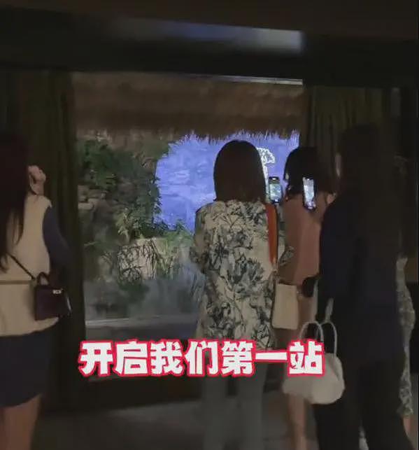 女子在上海吃8000块云南菜：大象粪便、尸体降解味、蚂蚁！后悔了（组图） - 4