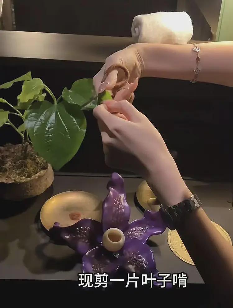 这不是玩笑?上海这家餐厅,请你啃树叶、吃大象粑粑,人均餐费居然要这个数...(组图) - 3