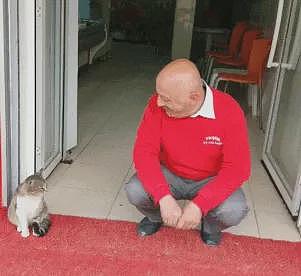【宠物】烤肉店老板喂的小猫去世后，过了3年竟然转世回来了？猫：你好，我要3年前选的那块肉（组图） - 10