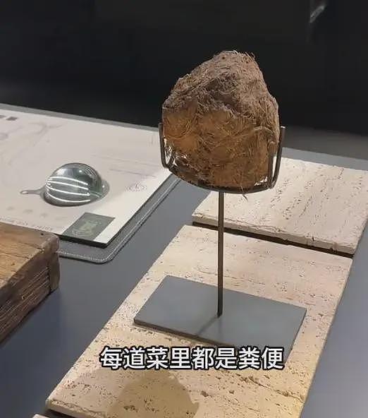 女子在上海吃8000块云南菜：大象粪便、尸体降解味、蚂蚁！后悔了（组图） - 18