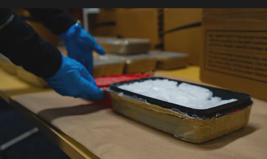 触目惊心！新西兰这里已经沦陷！华人：“印象很不好，人的样子都很怪”（组图） - 15