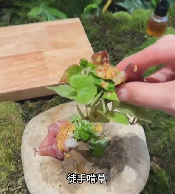 女子在上海吃8000块云南菜：大象粪便、尸体降解味、蚂蚁！后悔了（组图） - 10