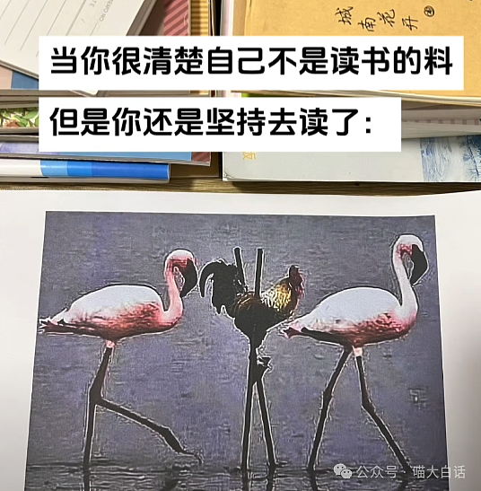 【爆笑】“老公的女闺蜜半夜给他发小作文?”哈哈哈哈哈后续给人看爽了(组图) - 10
