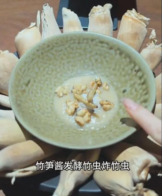 女子在上海吃8000块云南菜：大象粪便、尸体降解味、蚂蚁！后悔了（组图） - 20