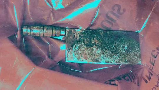 太惨了！华男刺伤女儿与侄女，一女孩被捅十多刀，一女孩失去一根手指，被控谋杀未遂（组图） - 2