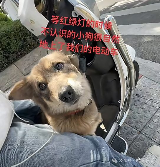 【爆笑】“老公的女闺蜜半夜给他发小作文?”哈哈哈哈哈后续给人看爽了(组图) - 40