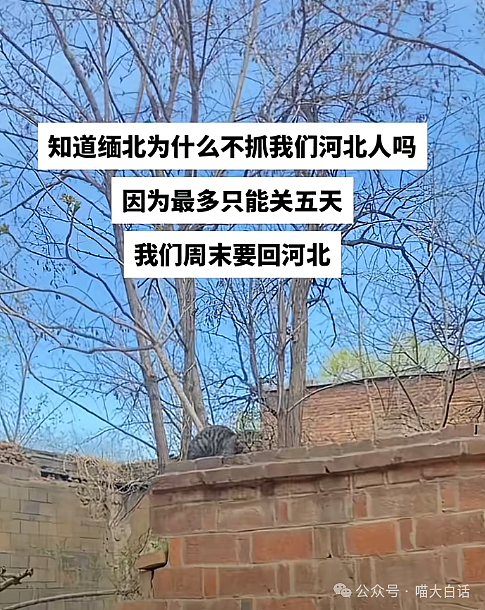 【爆笑】“老公的女闺蜜半夜给他发小作文?”哈哈哈哈哈后续给人看爽了(组图) - 12