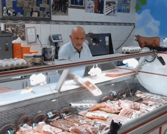 【宠物】烤肉店老板喂的小猫去世后，过了3年竟然转世回来了？猫：你好，我要3年前选的那块肉（组图） - 17