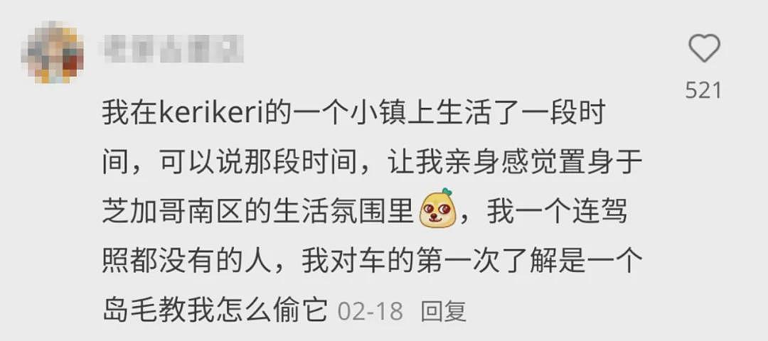 触目惊心！新西兰这里已经沦陷！华人：“印象很不好，人的样子都很怪”（组图） - 7