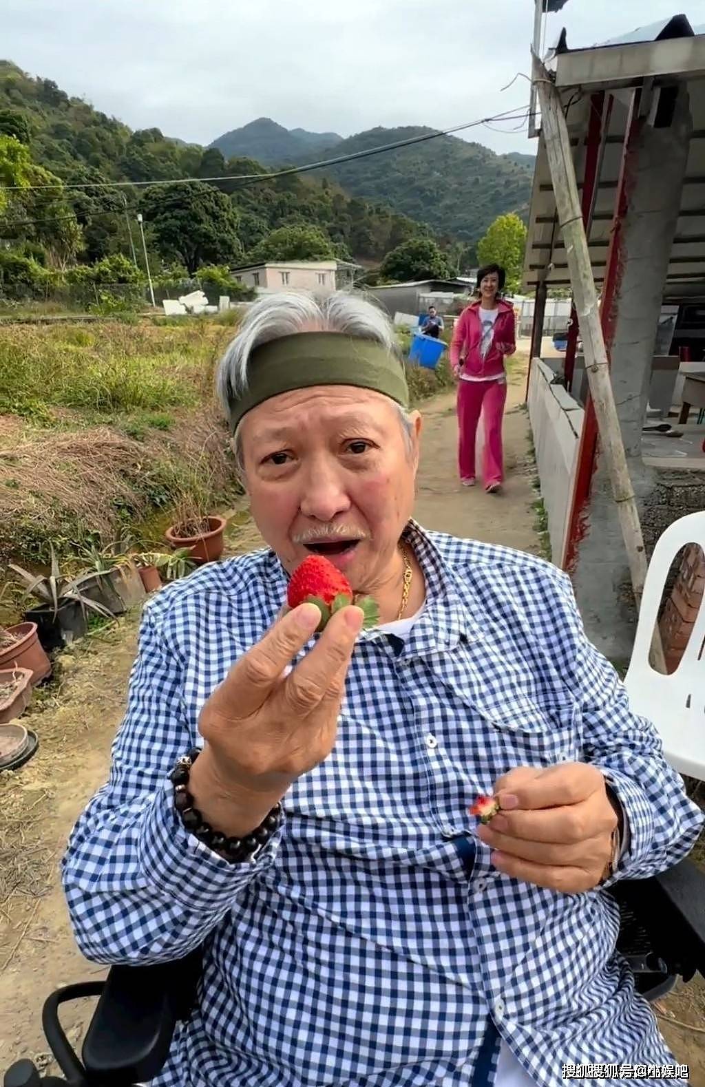 73岁洪金宝独自坐轮椅买肉 银发苍苍无人陪（图） - 4