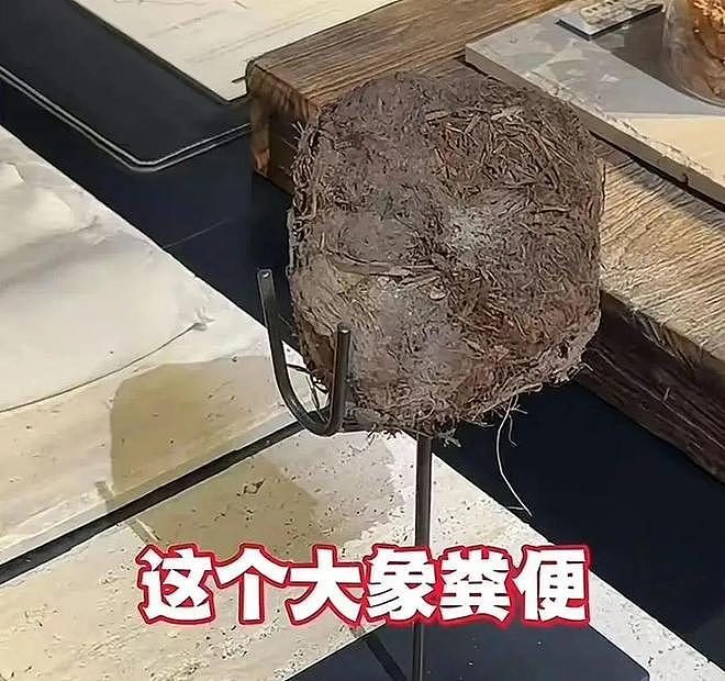 已立案！人均3888元的上海餐厅，用大象粪便做甜品，还有腐臭味糊糊（组图） - 8