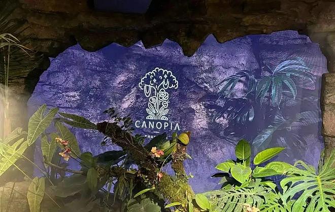 已立案！人均3888元的上海餐厅，用大象粪便做甜品，还有腐臭味糊糊（组图） - 3