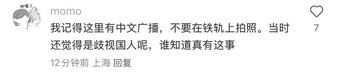 离谱！华人女子在日本高速上躺地上拍照？还称是人生照片，引发600万人围观...（组图） - 34