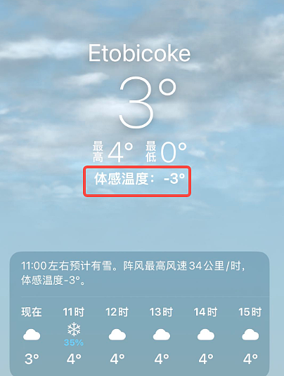 太疯狂！加国多伦多“全民出动“捡漏便宜货！华人寒风苦等2小时！逆天长队铺满停车场（组图） - 2