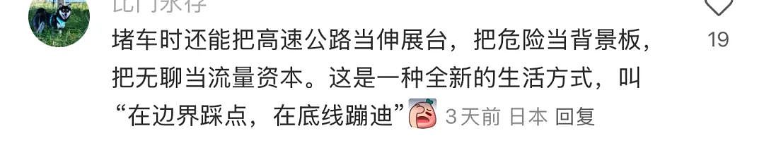 离谱！华人女子在日本高速上躺地上拍照？还称是人生照片，引发600万人围观...（组图） - 18