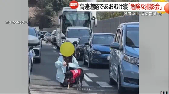 离谱！华人女子在日本高速上躺地上拍照？还称是人生照片，引发600万人围观...（组图） - 10