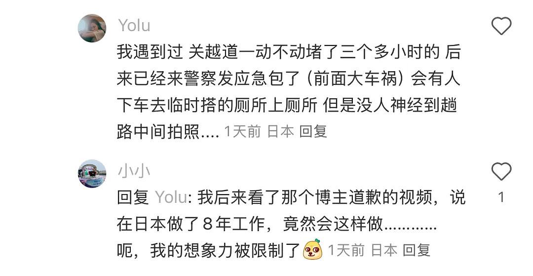 离谱！华人女子在日本高速上躺地上拍照？还称是人生照片，引发600万人围观...（组图） - 21