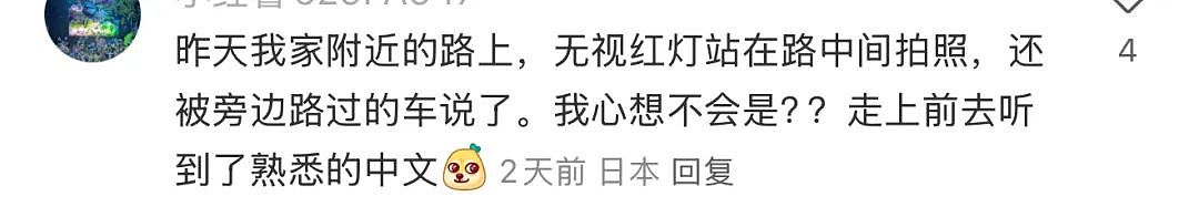 离谱！华人女子在日本高速上躺地上拍照？还称是人生照片，引发600万人围观...（组图） - 26