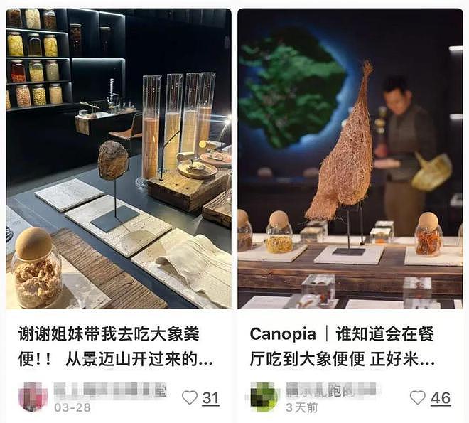 已立案！人均3888元的上海餐厅，用大象粪便做甜品，还有腐臭味糊糊（组图） - 1