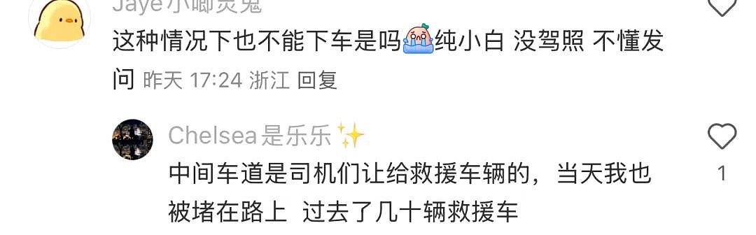 离谱！华人女子在日本高速上躺地上拍照？还称是人生照片，引发600万人围观...（组图） - 20