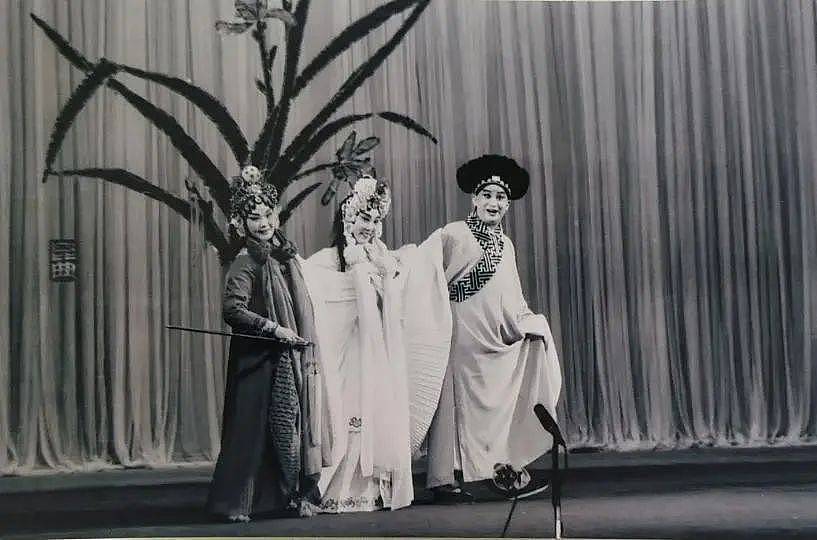 “阿庆嫂”洪雪飞：2000元演出费夺走她宝贵生命（组图） - 5