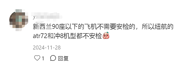 华人在新西兰坐飞机被吓到：“不查证件不安检！”这次出事了...（组图） - 8