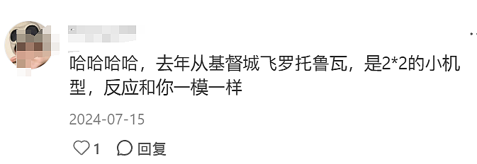 华人在新西兰坐飞机被吓到：“不查证件不安检！”这次出事了...（组图） - 16