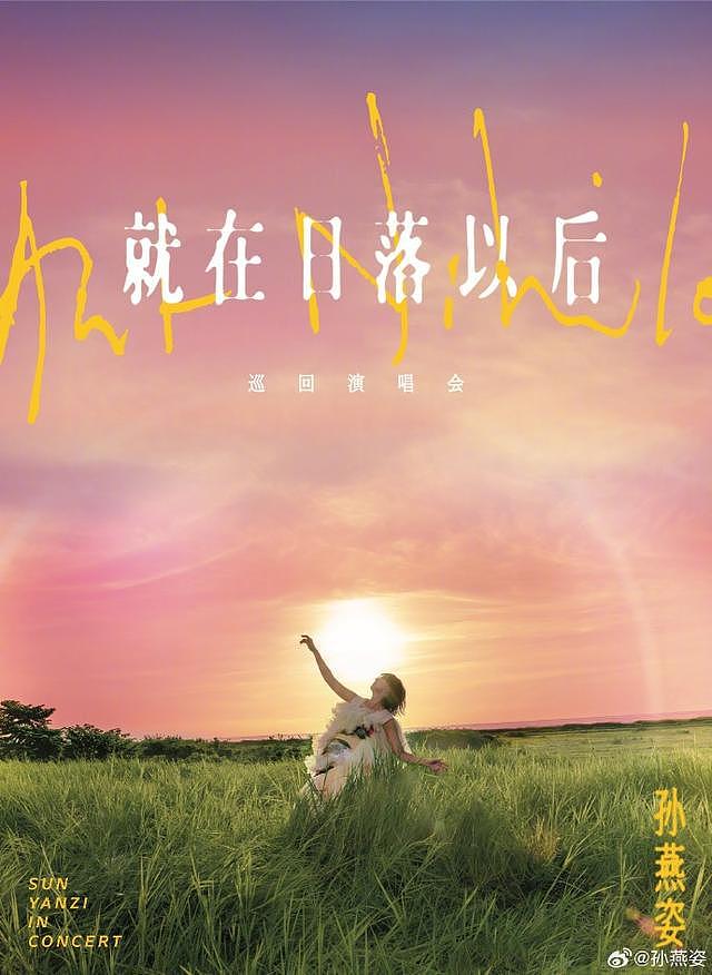 昔日歌坛四小天后境况大不同！她为何是人生赢家（组图） - 2