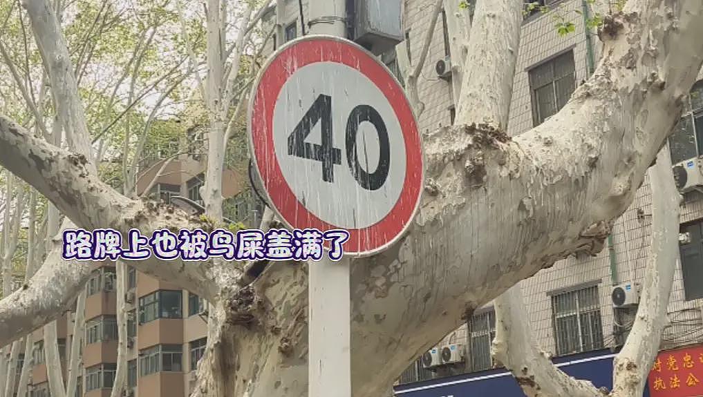 郑州闹市“天屎之路”引争论：该迁走还是再忍忍（组图） - 5