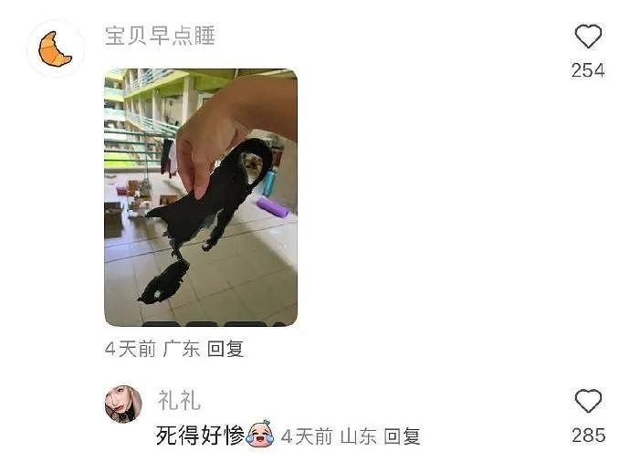 【爆笑】知道我谈了姐弟恋后,前男友连夜给我转了100万!网友:是给你补身体用的吧...(图) - 40