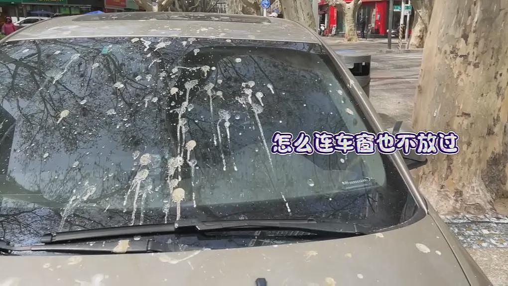 郑州闹市“天屎之路”引争论：该迁走还是再忍忍（组图） - 7